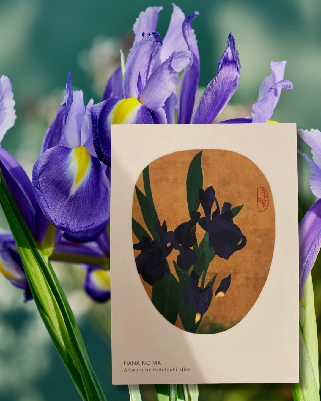 –Set de Cartes Postales – Les Quatre Saisons