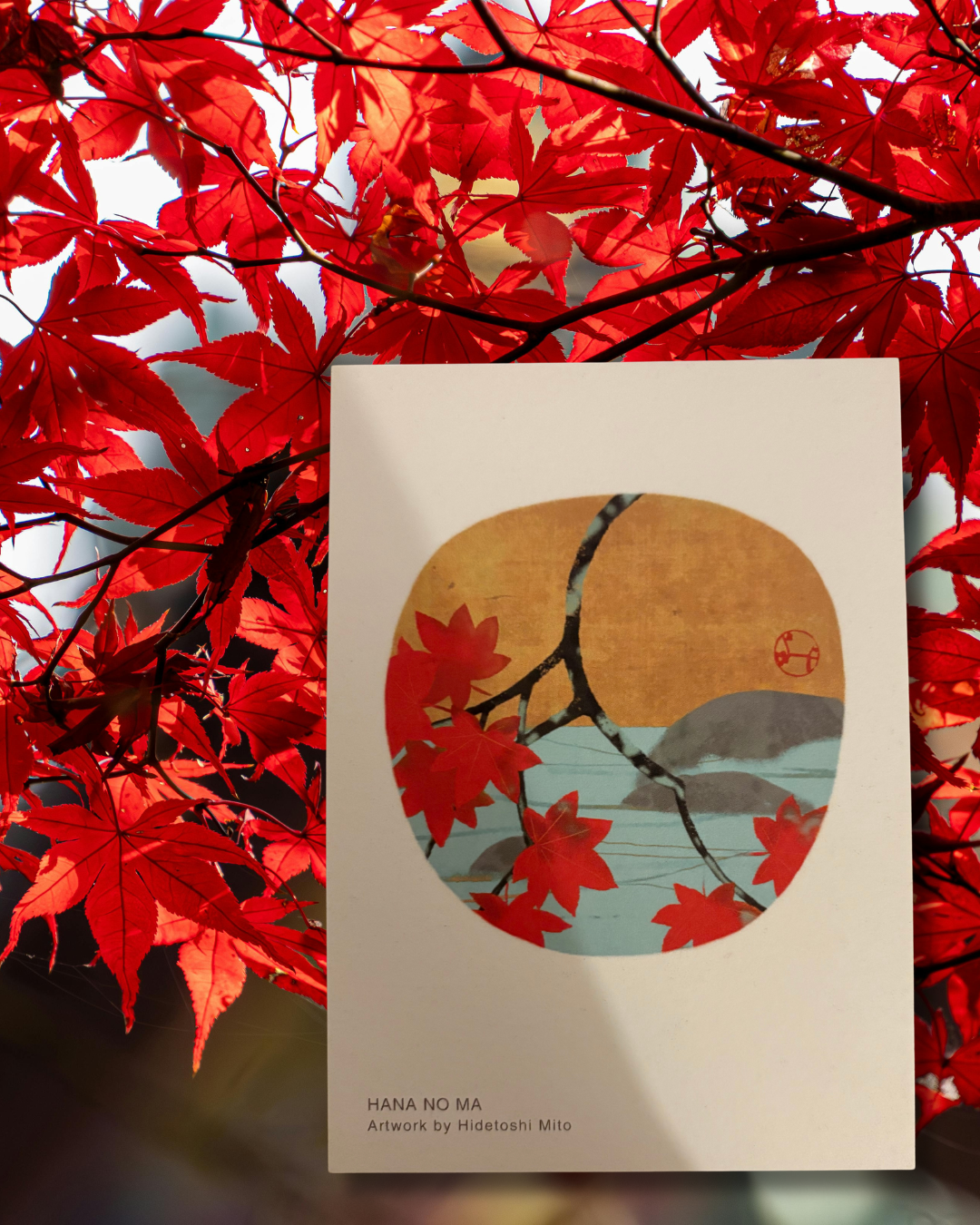 –Set de Cartes Postales – Les Quatre Saisons