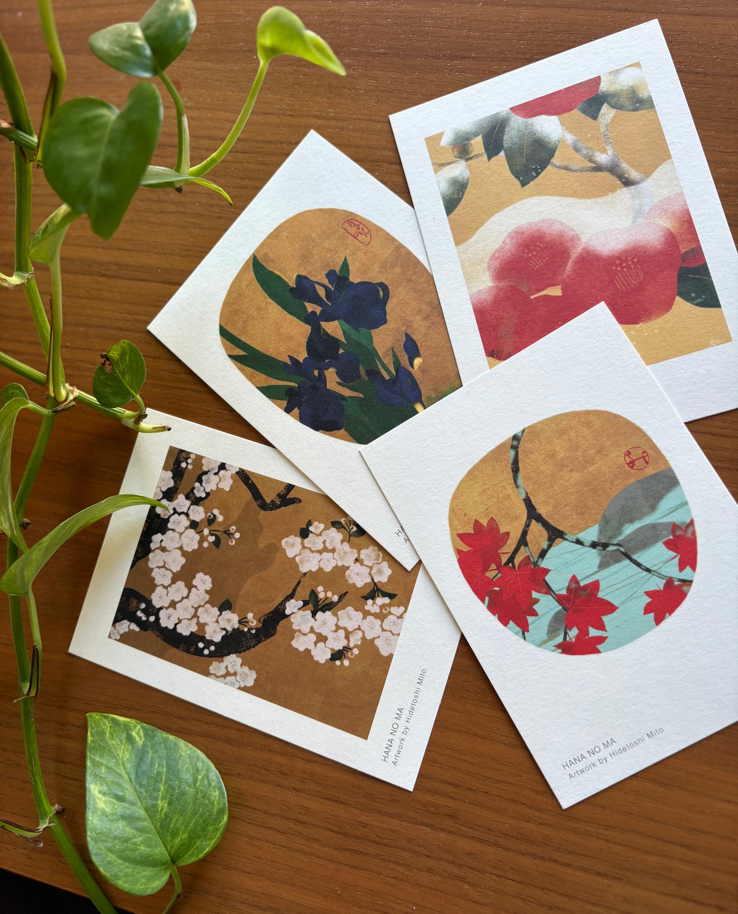 –Set de Cartes Postales – Les Quatre Saisons