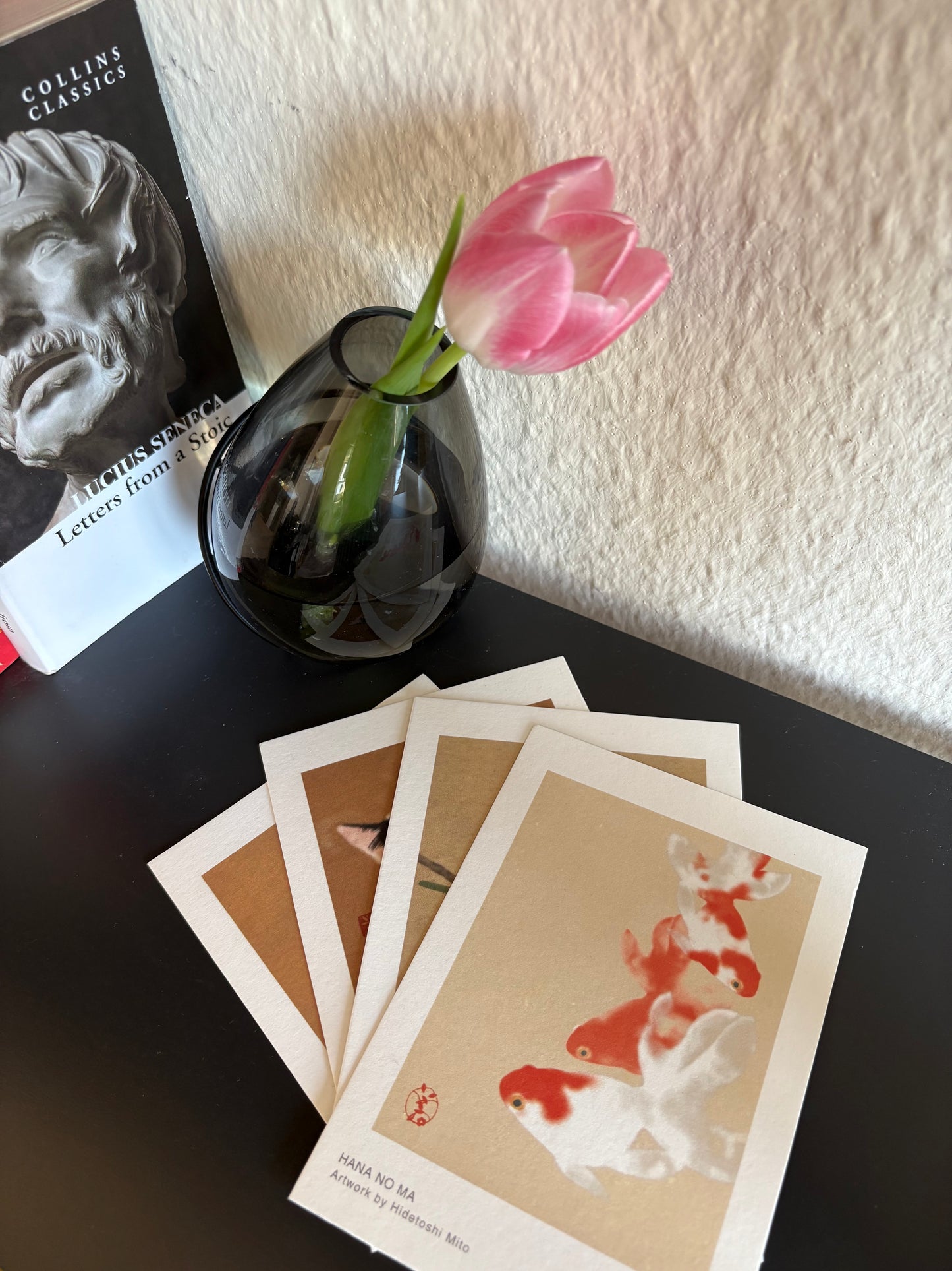 - Postcard Set - The Animals