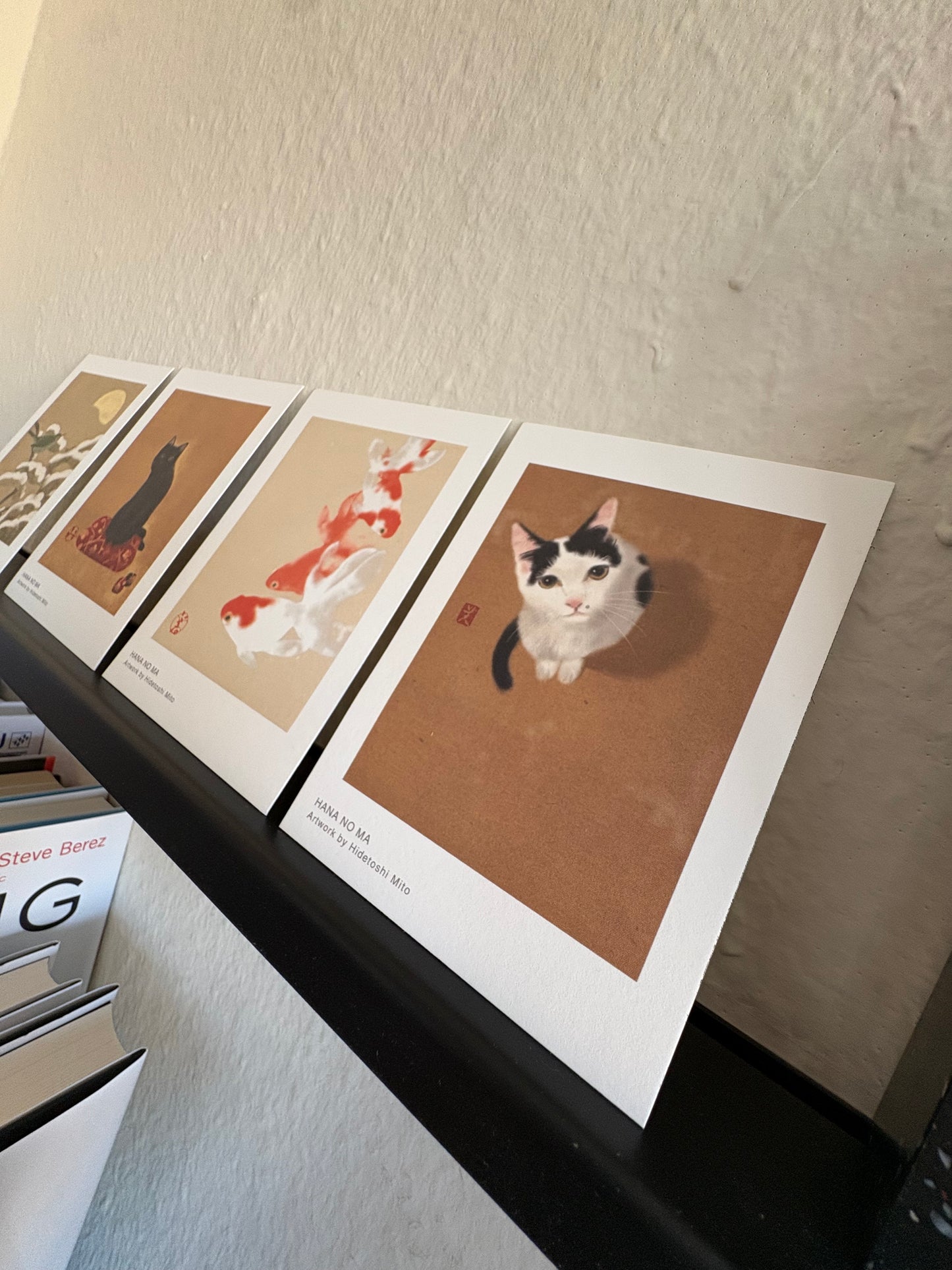 - Postcard Set - The Animals